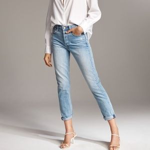 Aritzia Denim Forum Ex Boyfriend Jean